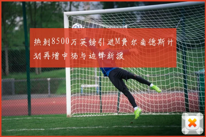 热刺8500万英镑引进M费尔南德斯计划再增中场与边锋新援